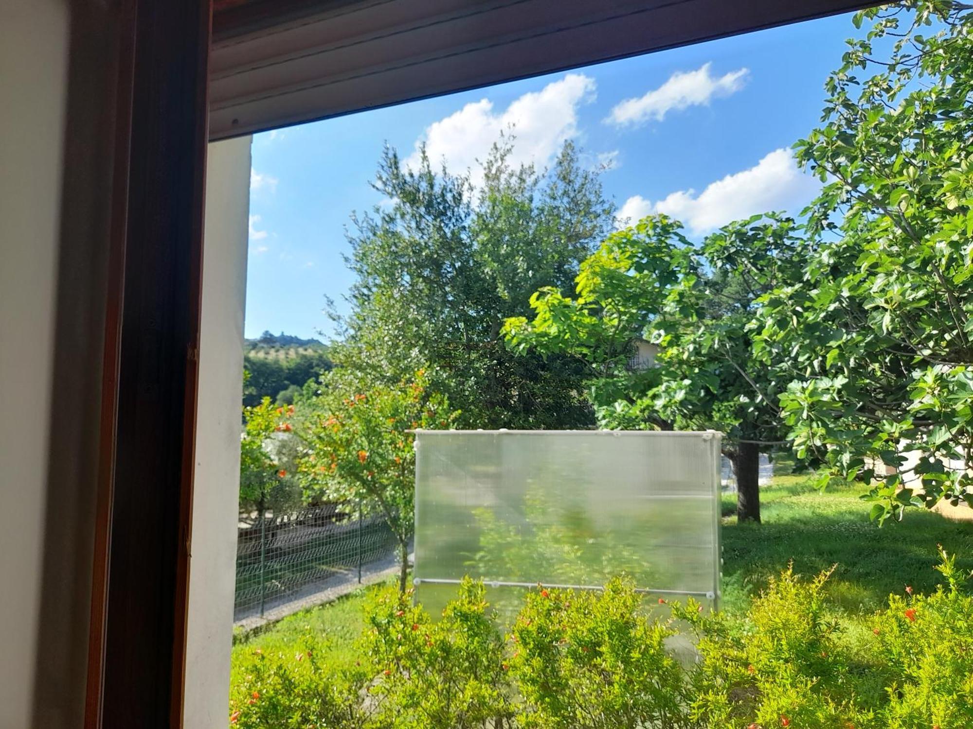 Camping Agriturist Sant'Anna Castelplanio Værelse billede