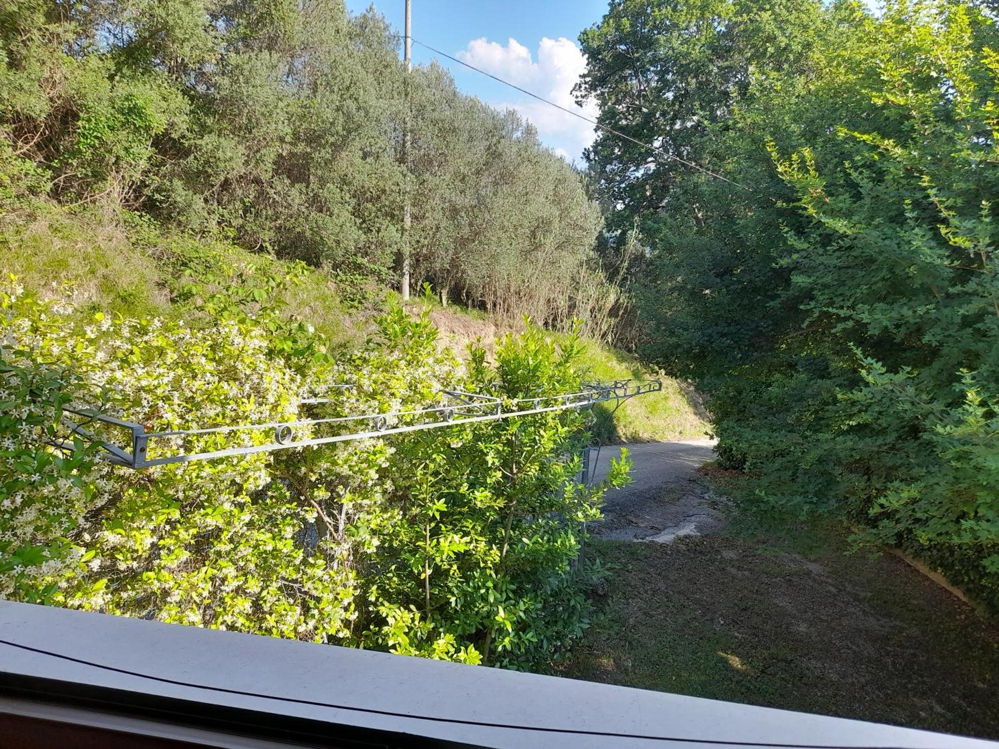 Camping Agriturist Sant'Anna Castelplanio Værelse billede